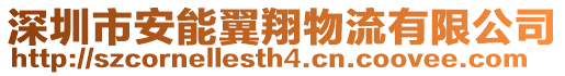 深圳市安能翼翔物流有限公司