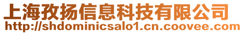 上海孜揚信息科技有限公司