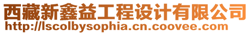 西藏新鑫益工程設計有限公司