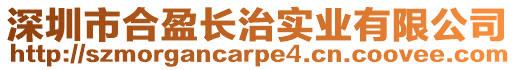 深圳市合盈長治實業有限公司