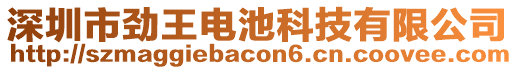 深圳市勁王電池科技有限公司