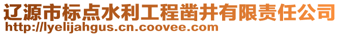 遼源市標點水利工程鑿井有限責任公司