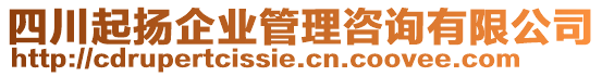 四川起揚(yáng)企業(yè)管理咨詢有限公司