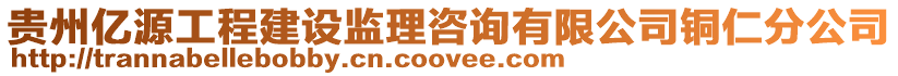 貴州億源工程建設(shè)監(jiān)理咨詢有限公司銅仁分公司