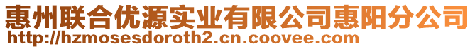 惠州聯(lián)合優(yōu)源實(shí)業(yè)有限公司惠陽分公司