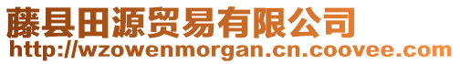 藤縣田源貿(mào)易有限公司