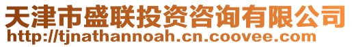 天津市盛聯(lián)投資咨詢有限公司