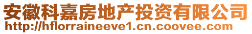 安徽科嘉房地產(chǎn)投資有限公司