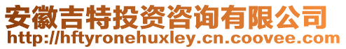 安徽吉特投資咨詢有限公司