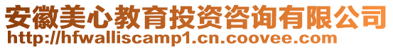 安徽美心教育投資咨詢有限公司