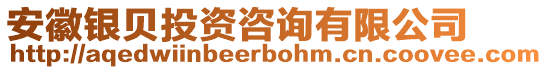 安徽銀貝投資咨詢有限公司