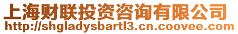 上海財(cái)聯(lián)投資咨詢有限公司