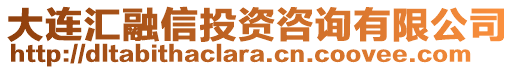 大連匯融信投資咨詢有限公司