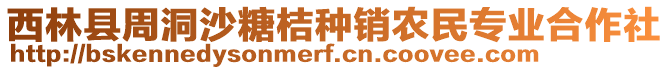 西林縣周洞沙糖桔種銷農(nóng)民專業(yè)合作社