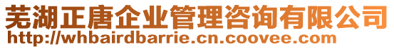 蕪湖正唐企業(yè)管理咨詢有限公司