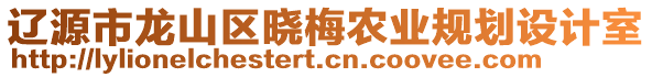 遼源市龍山區(qū)曉梅農(nóng)業(yè)規(guī)劃設(shè)計(jì)室