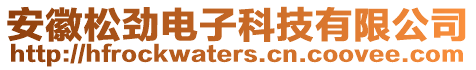 安徽松勁電子科技有限公司