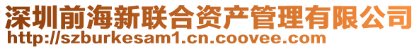 深圳前海新聯(lián)合資產(chǎn)管理有限公司