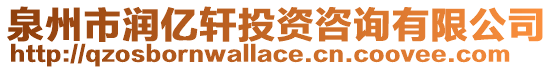 泉州市潤億軒投資咨詢有限公司