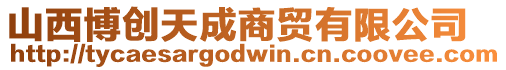 山西博創天成商貿有限公司
