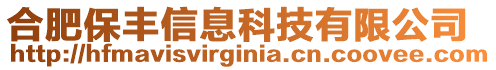 合肥保豐信息科技有限公司