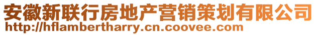 安徽新聯(lián)行房地產(chǎn)營銷策劃有限公司