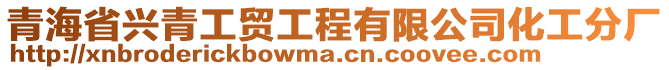 青海省興青工貿工程有限公司化工分廠