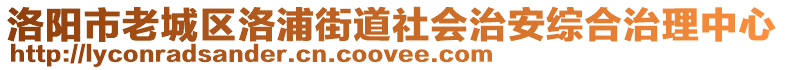 洛陽市老城區(qū)洛浦街道社會治安綜合治理中心