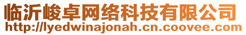 臨沂峻卓網(wǎng)絡(luò)科技有限公司