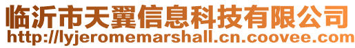 臨沂市天翼信息科技有限公司
