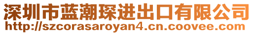 深圳市藍(lán)潮琛進(jìn)出口有限公司