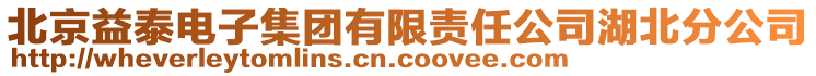 北京益泰電子集團(tuán)有限責(zé)任公司湖北分公司
