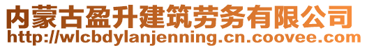 內(nèi)蒙古盈升建筑勞務(wù)有限公司