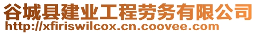 谷城縣建業(yè)工程勞務(wù)有限公司