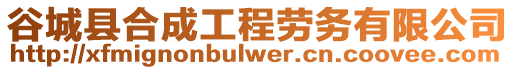谷城縣合成工程勞務有限公司