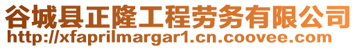 谷城縣正隆工程勞務(wù)有限公司