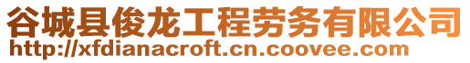 谷城縣俊龍工程勞務(wù)有限公司