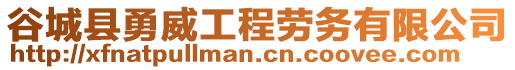 谷城縣勇威工程勞務有限公司