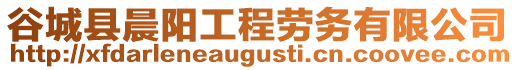 谷城縣晨陽工程勞務(wù)有限公司