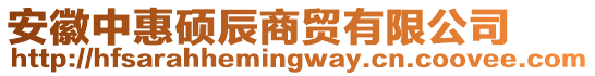 安徽中惠碩辰商貿(mào)有限公司