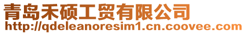 青島禾碩工貿(mào)有限公司