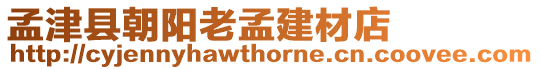 孟津縣朝陽老孟建材店