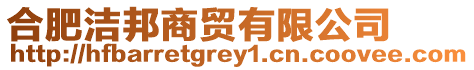 合肥潔邦商貿(mào)有限公司