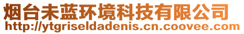 煙臺未藍環(huán)境科技有限公司