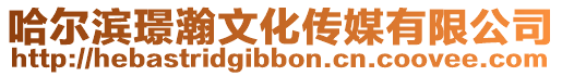哈爾濱璟瀚文化傳媒有限公司