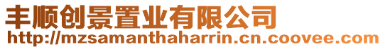 豐順創(chuàng)景置業(yè)有限公司