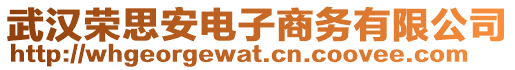武漢榮思安電子商務有限公司