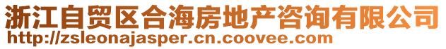 浙江自貿(mào)區(qū)合海房地產(chǎn)咨詢有限公司