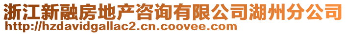 浙江新融房地產(chǎn)咨詢有限公司湖州分公司