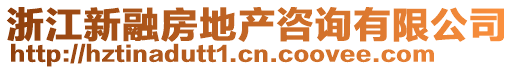 浙江新融房地產(chǎn)咨詢有限公司